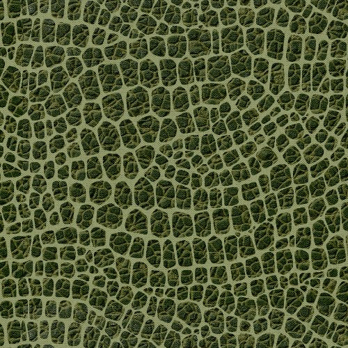 Dinosaur Trails - 3 Wishes Fabric