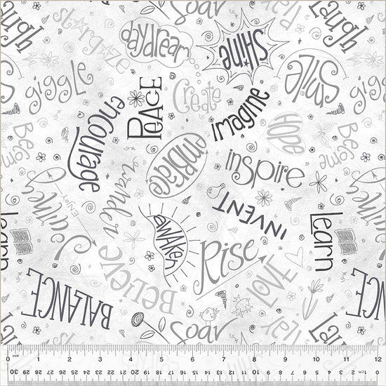 WINDHAM FABRICS CHALKBOARD ASPIRATIONS 108" BACKING