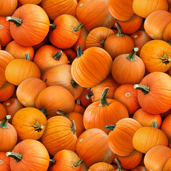 ELIZABETH STUDIO HARVEST TIME