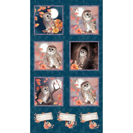 STUDIO E NIGHT OWL COLLECTION