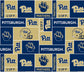 Sykel NCAA Cotton Fabric