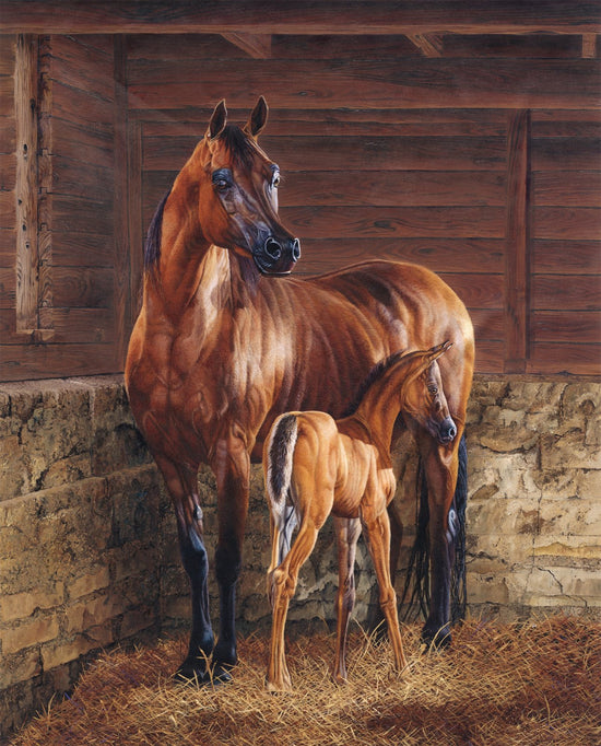 DAVID TEXTILES AND GOD CREATED A HORSE PANEL