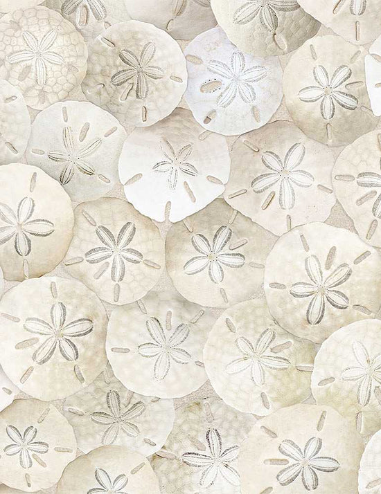 Timeless Treasures Packed Sand Dollars On Beach