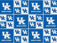 Sykel NCAA Cotton Fabric