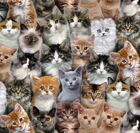 ELIZABETH STUDIO ADORABLE PETS