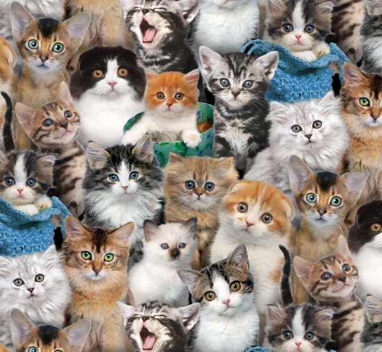 ELIZABETH STUDIO CAT BREEDS FABRIC