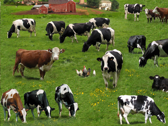 ELIZABETH STUDIO FARM ANIMALS COLLECTION