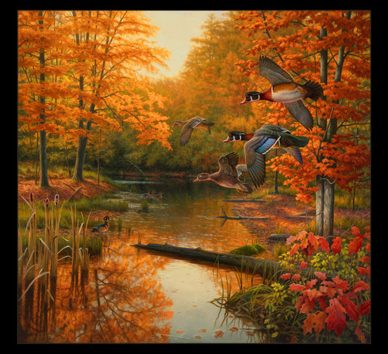 ELIZABETH STUIO MAGICAL SEASON