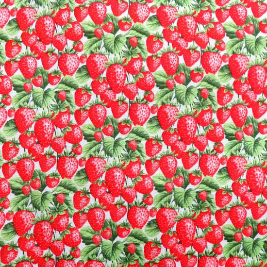 Fruit Food by Fabri-Quilt