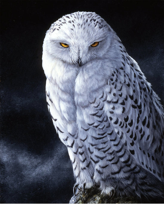 DAVID TEXTILES SNOWY OWL PANEL