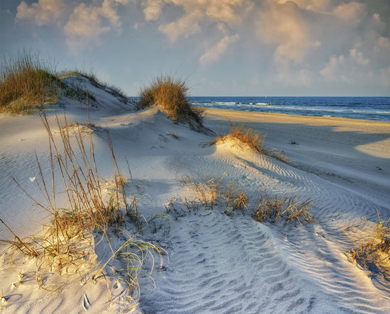 DAVID TEXTILES THE DUNES AT OBX PANEL