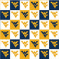 Sykel NCAA Cotton Fabric