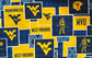 Sykel NCAA Cotton Fabric