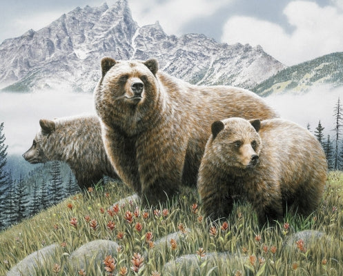 David Textiles WILD WINGS BEARS IN MOUNTAIN PANEL