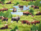 WILD MOOSE SCENIC PRINT