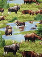 WILD MOOSE SCENIC PRINT