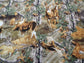 PRINT CONCEPTS REAL TREE WOODS WITH ANIMALS