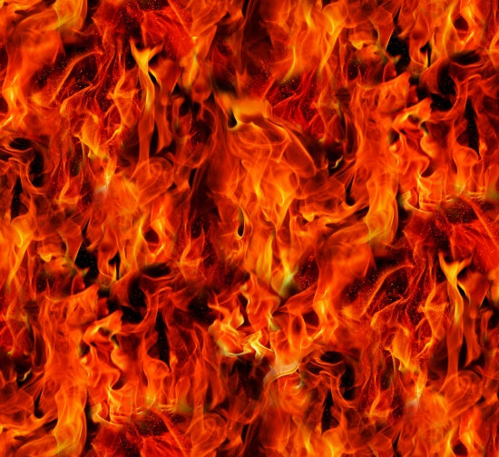 Elizabeth Studios Under Fire Red