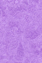 OASIS SHADOWS COLLECTION 118" BACKING