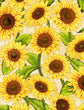 WILMINGTON PRINTS JARDIN DU SOLEIL BY LOLA MOLINA COLLECTION