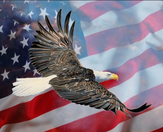 David Textiles Wild Wings Eagle & The Flag Panel