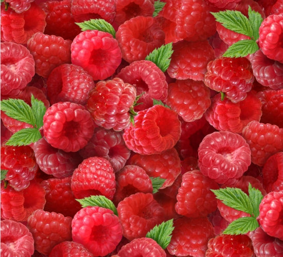 Elizabeth Studios Berry Good