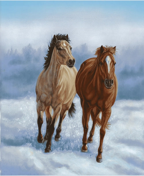 STUDIO E HORSE WHISPERER COLLECTION