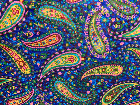 Marshall Dry Goods Perfectly Paisley