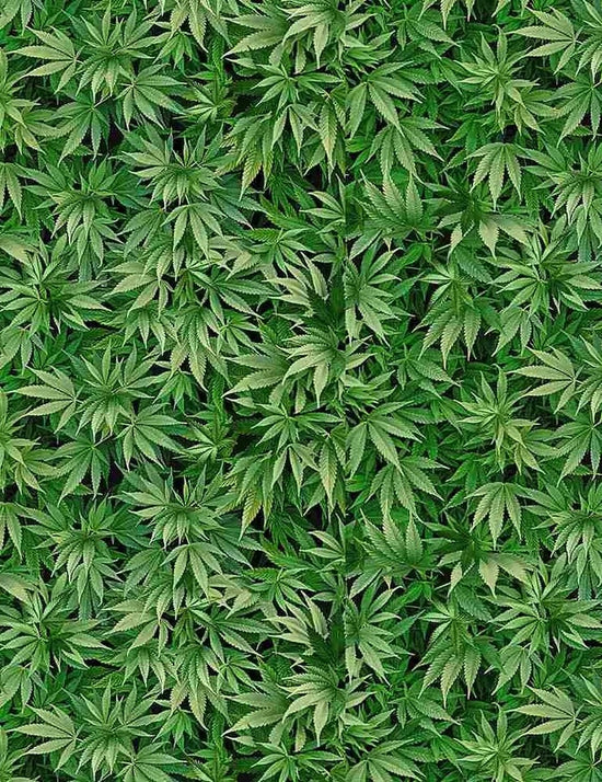 Timeless Treasures Green Mini Cannabis