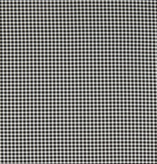 Timeless Treasures Strawberry Patch Gingham Check Black