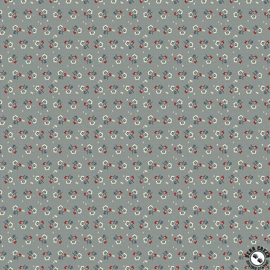 Riley Blake Seeds of Glory