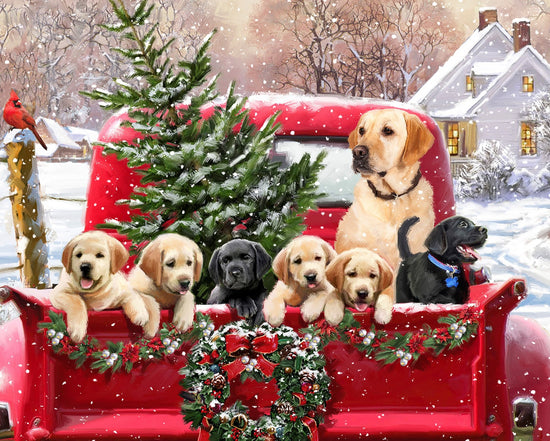 Labs In The Truck Panel