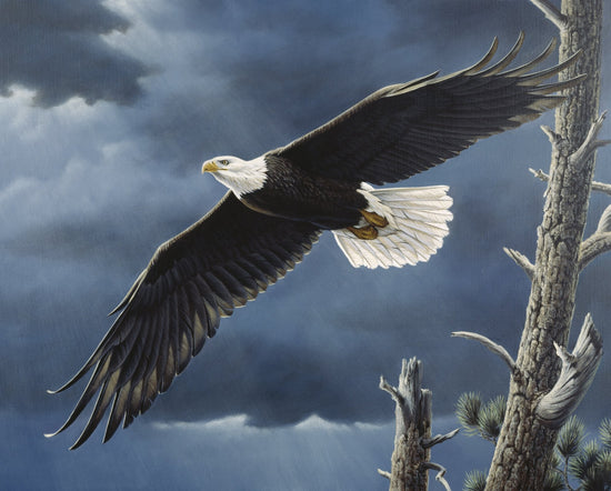 David Textiles SOARING WINGS  PANEL