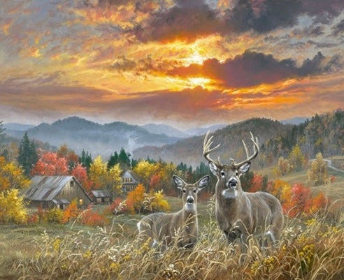 David Textiles November Light