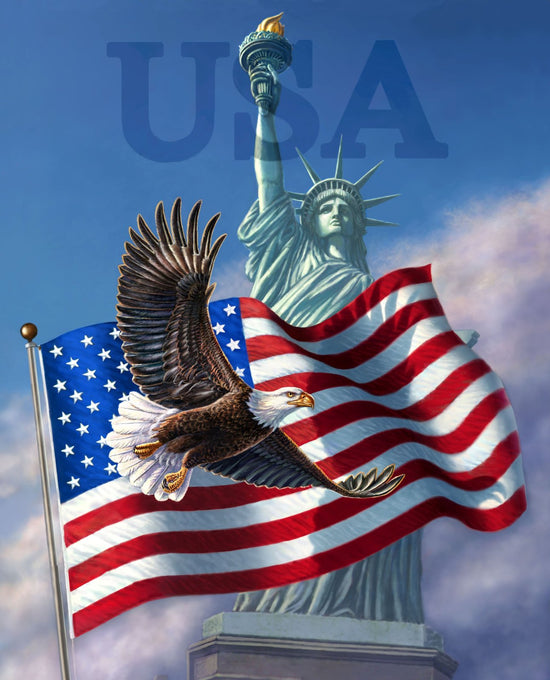 DAVID TEXTILES ICONIC USA PANEL