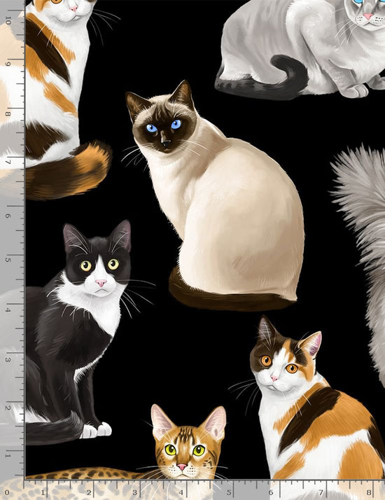 Timeless Treasures Black Feline Fancy Cats