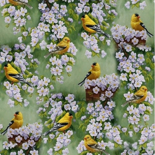 David Textiles GOLDFINCH BLOSSOM ALL OVER